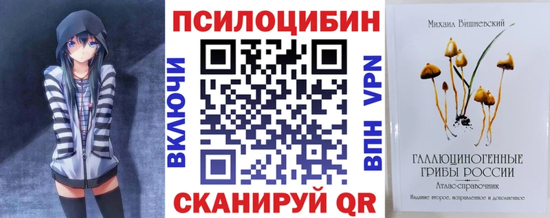 Купить закладки  Куртамыш  Псилоцибиновые грибы Magic Shrooms 